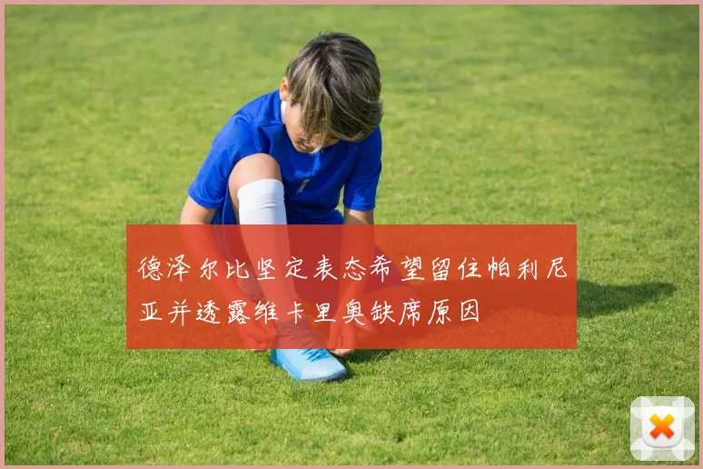 德泽尔比坚定表态希望留住帕利尼亚并透露维卡里奥缺席原因