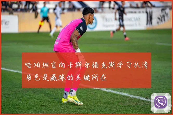 哈珀坦言向卡斯尔福克斯学习认清角色是赢球的关键所在