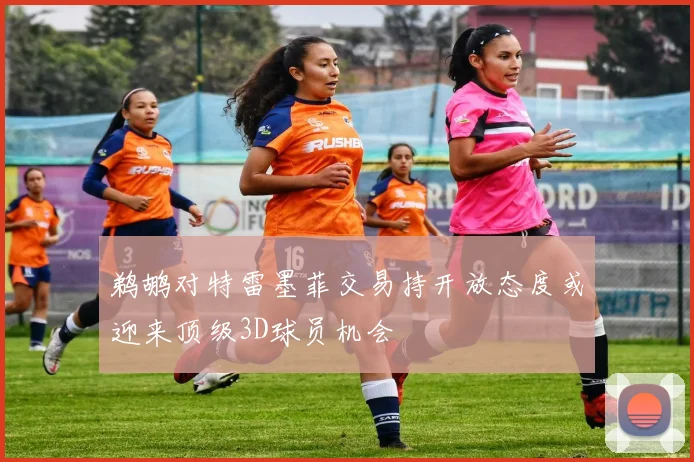 鹈鹕对特雷墨菲交易持开放态度或迎来顶级3D球员机会